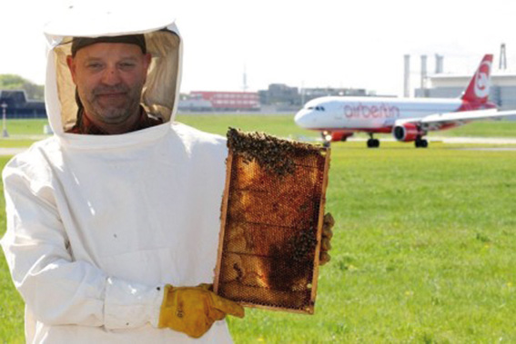Un altro esempio più vicino a noi è l'aeroporto di Stoccarda, in Germania, dove nel sedime aeroportuale è stato introdotto l’allevamento di api di quattro diverse specie che serve, tramite l’analisi del miele, a valutare la qualità dell’aria. Il miele viene infatti prodotto dalle api che raccolgono i pollini sui fiori nel raggio di tre chilometri e, una volta controllato e confermata la sua qualità, viene regolarmente messo in vendita. L’aeroporto di Stoccarda è molto impegnato in iniziative per il rispetto dell’ambiente e circa la metà dei 400 ettari dello scalo sono coperti di verde.